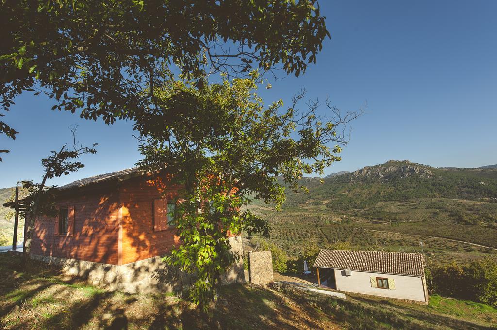 Maison d'hôtes La Brizna à Cañamero Chambre photo
